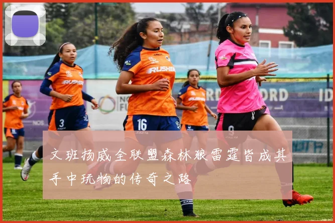 文班扬威全联盟森林狼雷霆皆成其手中玩物的传奇之路